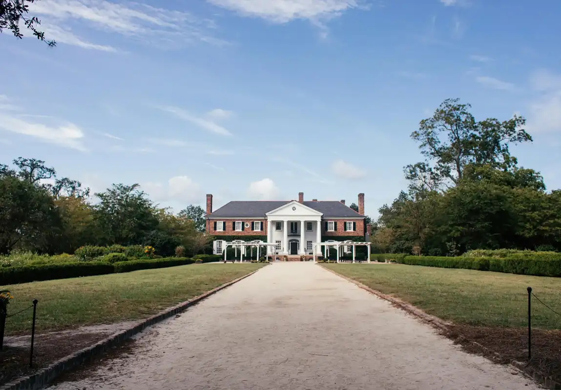 The Ultimate Local SEO Guide for South Carolina Businesses